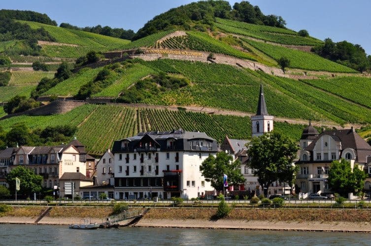 along the scenic rhine 060