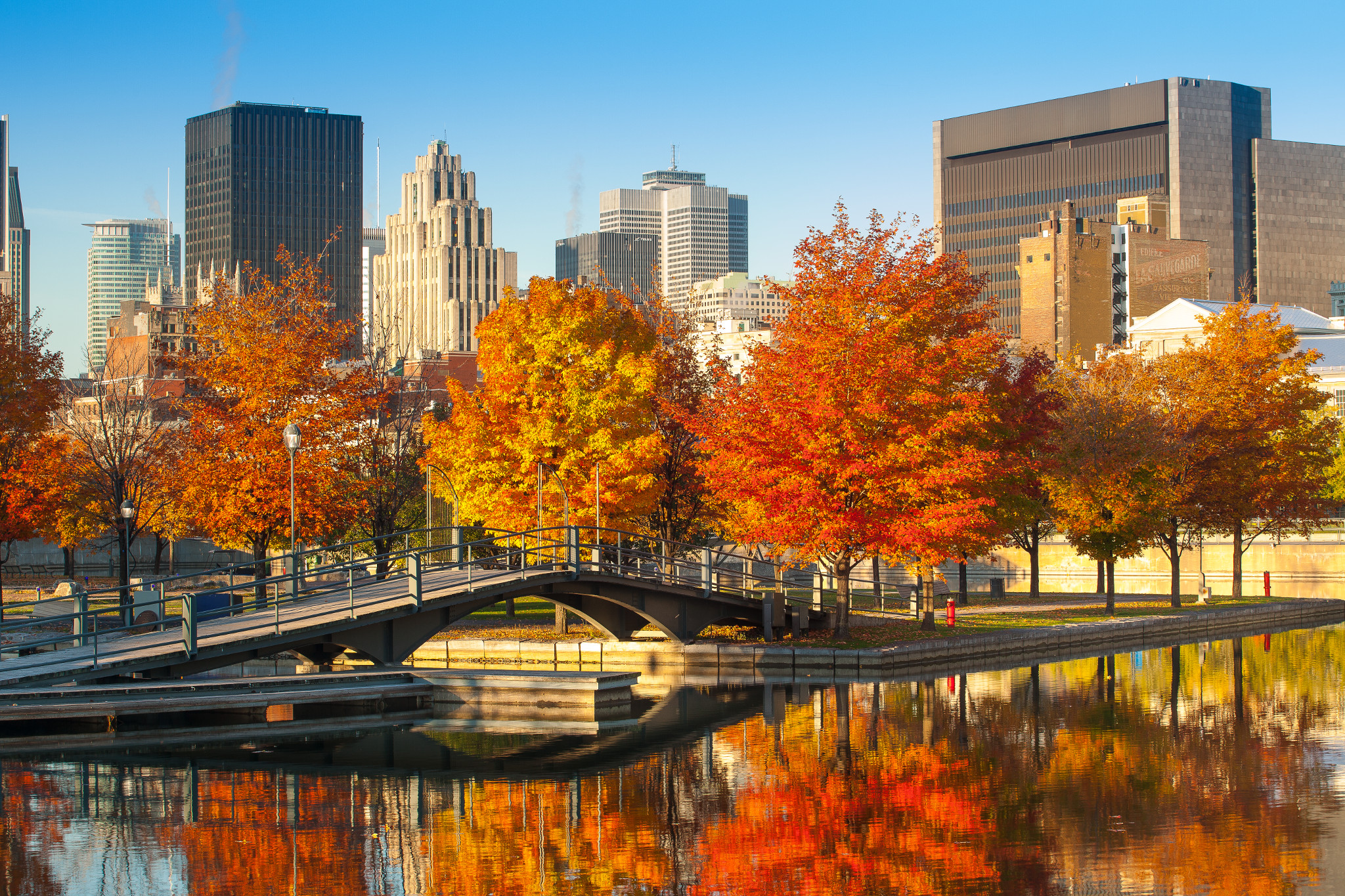 New england city. Монреаль Канада. Канада кленовый парк. Монреаль Канада горы. Лес Квебек Канада.